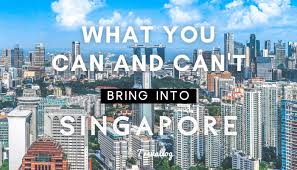 what you can and can t bring into singapore