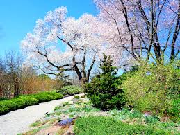 Botanical Gardens In New York