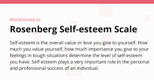 2 schmitt d., allik j. Rosenberg Self Esteem Scale Blocksurvey