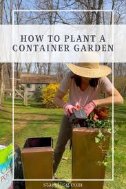 How To Plant A Container Garden In 7