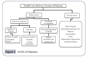 Comparison And Analysis Of Health Care Delivery Systems