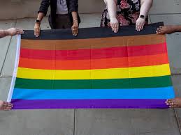 12 diffe pride flags and their