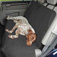 12 Car Travel Essentials For Your Dogs