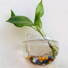 Glass Ball Water Planter Wall Vase