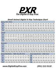 Small Animal Digital X Ray Technique Chart The Digital X Ray