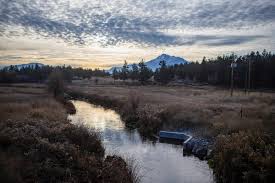 Things have to change': Big decision looms as Klamath Basin ranchers,  tribes battle over water and salmon