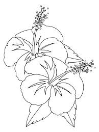 933x857 stunning hibiscus coloring pages bestcameronhighlandsapartmentcom. Hibiscus Flowers 1 Coloring Page Free Printable Coloring Pages For Kids