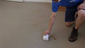 how to remove from carpet you