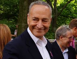 In 2017, he became the minority party leader in the senate, succeeding the retired harry reid. Fact Check Has Chuck Schumer Ever Held A Job In The Private Sector Ballotpedia
