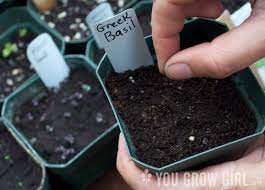 Guide To Choosing Organic Potting Soil