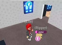 Its popularity and huge player counts is mostly due to the fact that it allows players to play however they. How To Make Money On Adopt Me On Roblox 7 Steps With Pictures