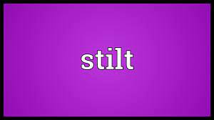 stilt meaning you