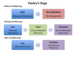 Classical Conditioning A Simple Form Of Learning In Which