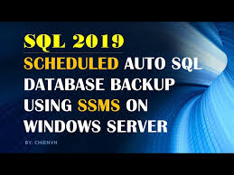 scheduled automatic sql database backup