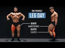 the ultimate push pull legs series