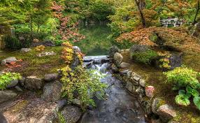 Japanese Garden Manmade Waterfalls