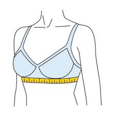 How To Measure Your Bra Size