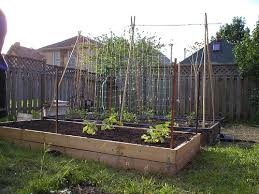 the benefits of raised garden beds