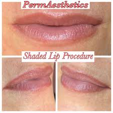best permanent lipstick lip liner