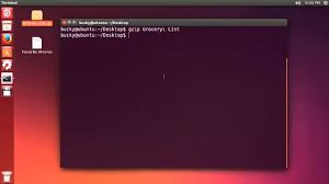fichiers dans ubuntu