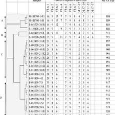 238 escherichia coli