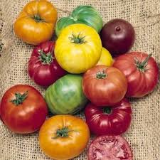 Image result for garden tomato image