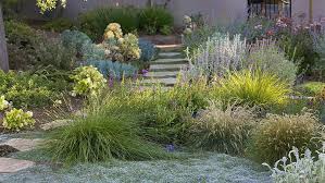 Lawn Replacements That Save Water And
