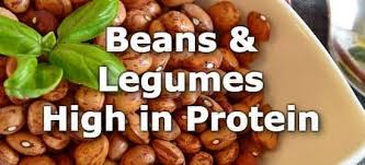 top 10 beans and legumes highest in protein