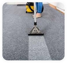 carpet cleaning auckland carpet steam