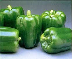 Image result for images of bell pepper