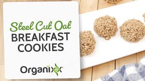 steel cut oat breakfast cookies