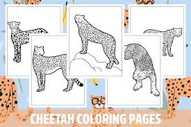 cheetah coloring pages for kids s