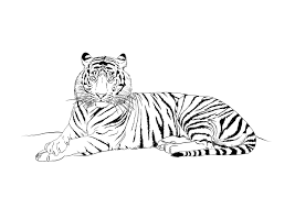 Apprendre à dessiner facilement étape par étape un tigre. Pin Na Art