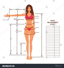 Height Weight Over Online Charts Collection
