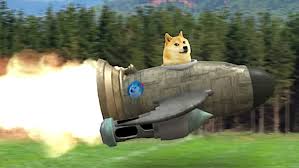 5.0 out of 5 stars. Cryptocurrency Dogecoin Rockets After Elon Musk Tweets Who Let The Doge Out Bpositivenow