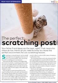 client handout the perfect scratching post