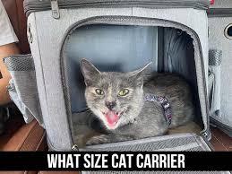 what size carrier for cat the ultimate