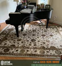 ucm rug cleaning in baltimore fast