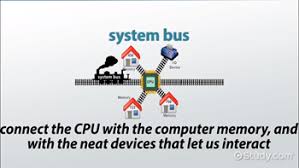 The speed at which its bus can transmit words, that is, its bus bandwidth, crucially determines the speed of any digital device. System Bus In Computers Definition Concept Video Lesson Transcript Study Com