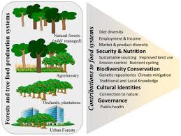 Trees To Transition Global Food Systems