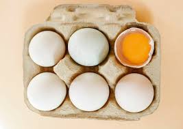 Œuf pourri comment savoir si un œuf