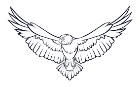 Kolay beşiktaş logo ve kartal çizimi. Cizim Kartal Ucan Pixabay De Ucretsiz Resim