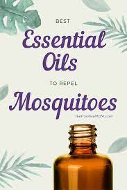 essential oils that repel mosquitoes