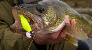 Going Green For Walleye Ontario Out