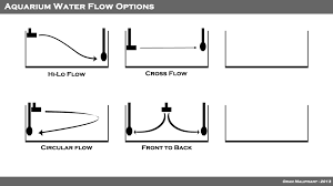 Resultado de imagem para Num aquario o inflow e o outflow devem estar juntos uma foto