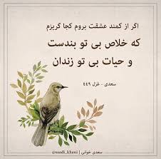 Image result for ‫اگر از کمند عشقت بروم کجا گریزم‬‎