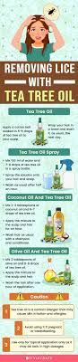 tea tree oil for lice how does it work