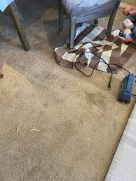 mann s carpet cleaning el cajon blvd