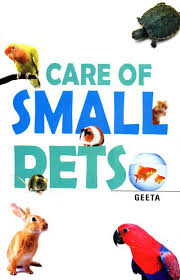 Image result for caring for small pets