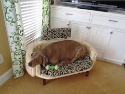 diy dog couch petdiys com